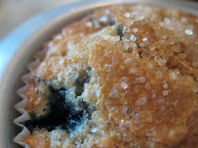 Blueberry Muffins with Coarse Sugar Topping