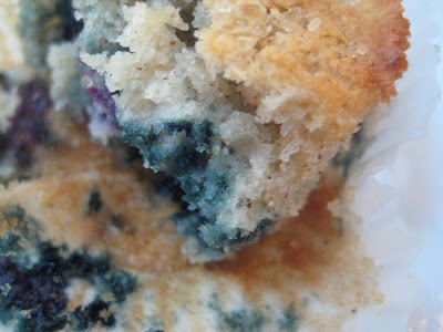 Blueberry Muffins with Coarse Sugar Topping