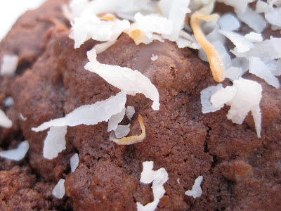 Double Chocolate Coconut M&M Cookies