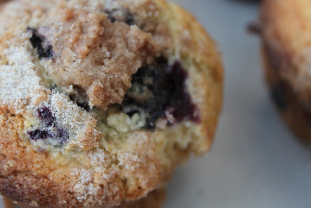 Basic Fruit Muffins with Streusel Topping