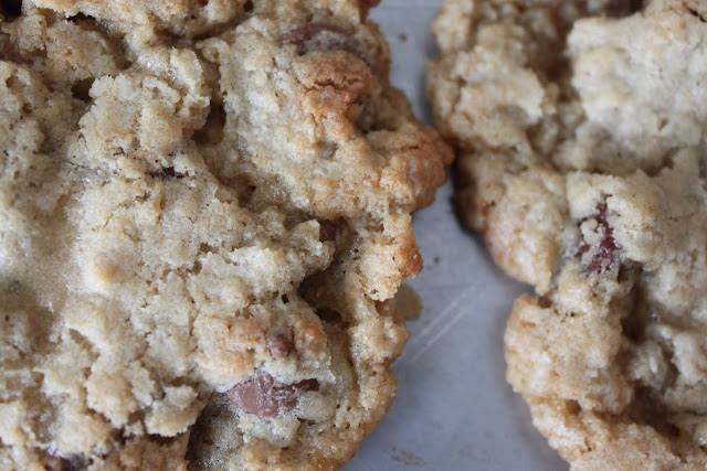 Giant Oatmeal Chocolate Chip Cookies