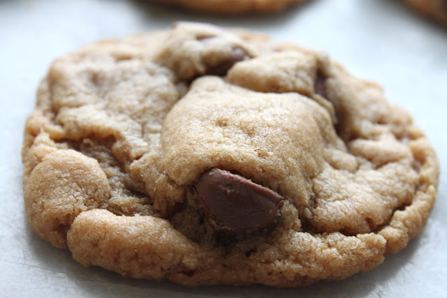 Super Simple 5 Ingredient Peanut Butter Chocolate Chip Cookies