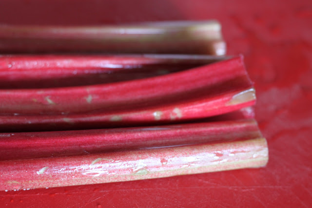 Rhubarb Pie