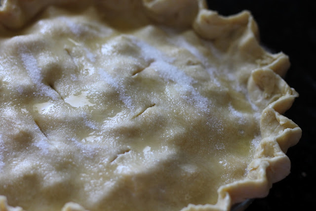 Rhubarb Pie