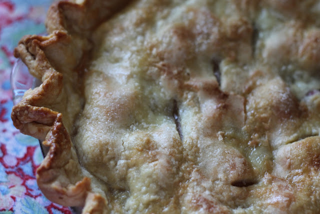 Rhubarb Pie