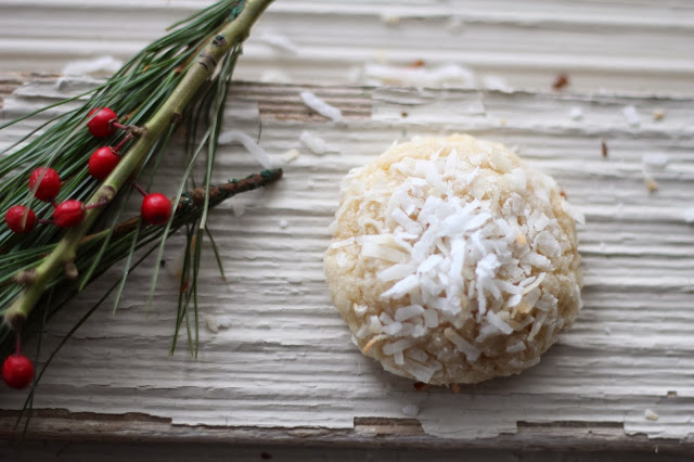 Simple Coconut Cookies