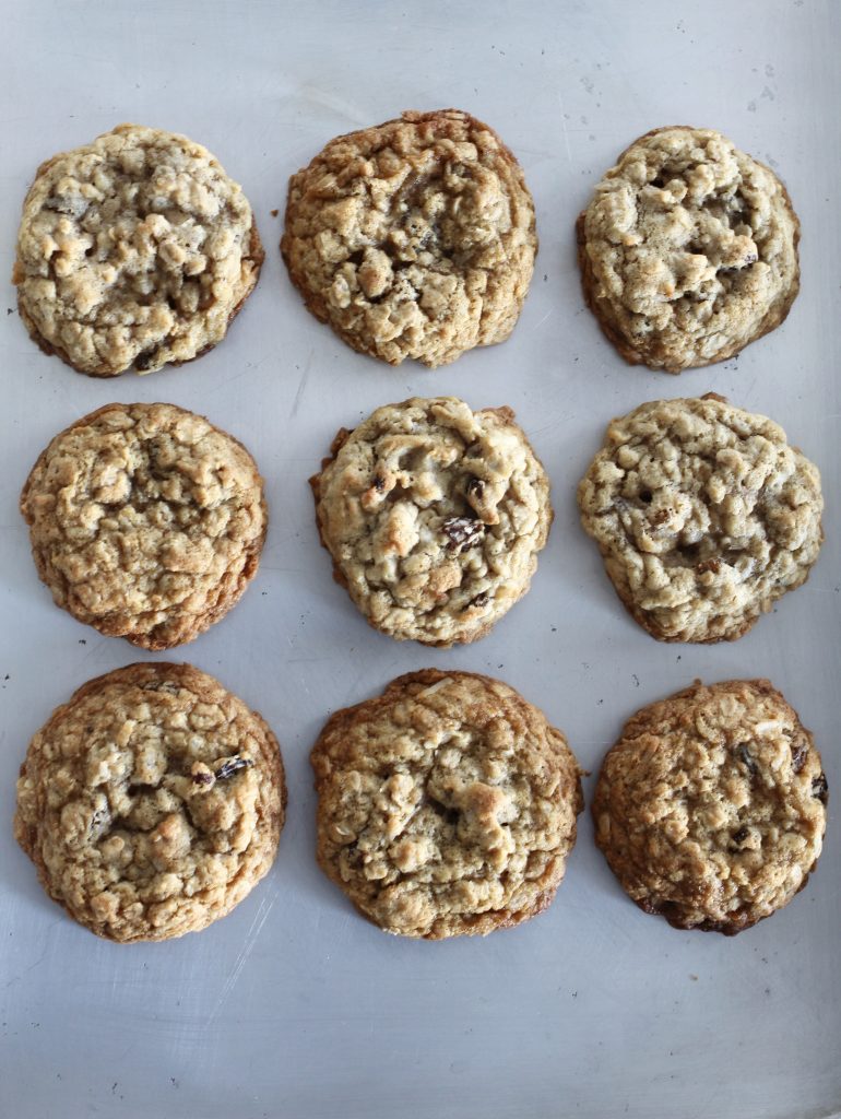 Coconut Raisin Oatmeal Chewies