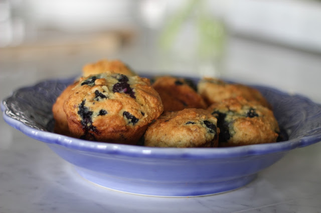 Fresh Blueberry and Greek Yogurt Muffins