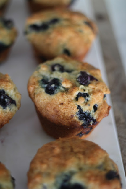 Fresh Blueberry and Greek Yogurt Muffins | A Bountiful Kitchen