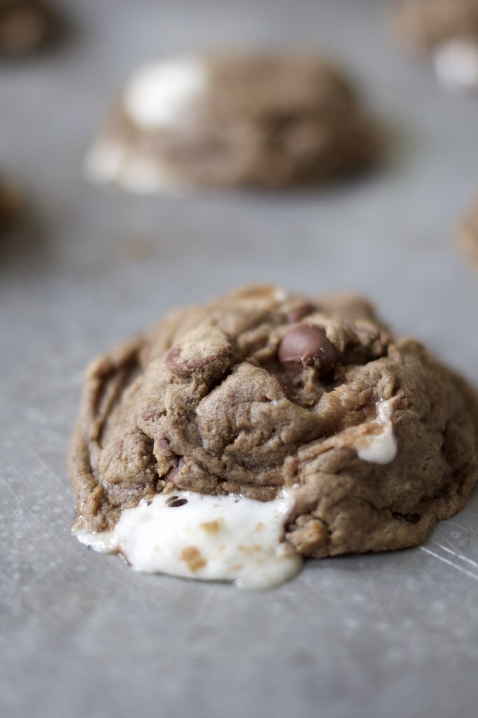 Double Chocolate Chewy Marshmallow Cookies