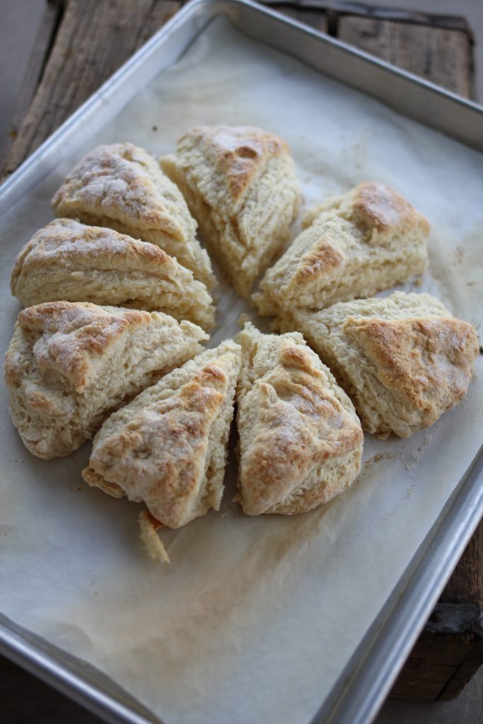 Sweet Butter Biscuits with Berries and Cream