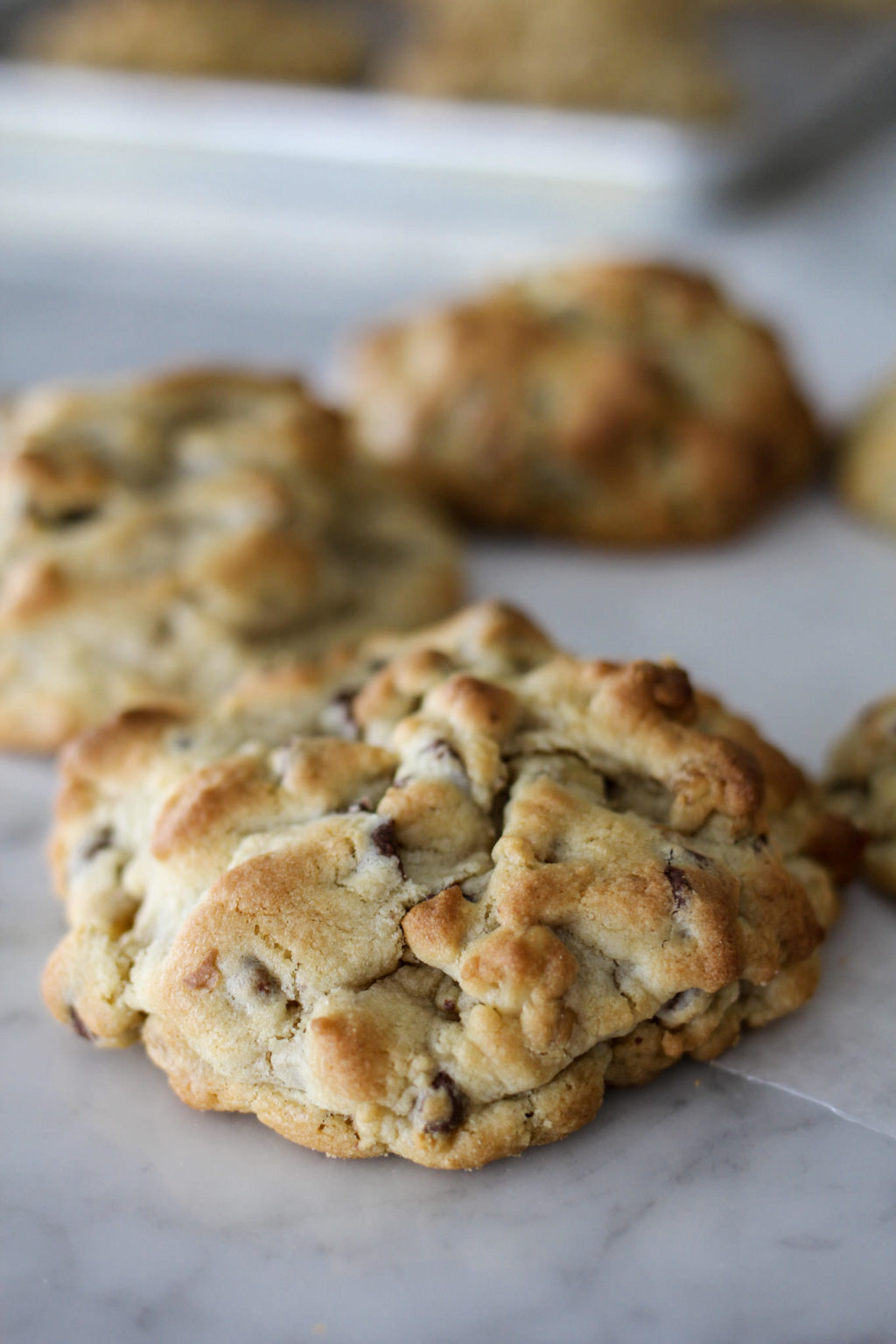Levain Bakery Chocolate Chip Cookie Recipe A Bountiful Levain Bakery Chocolate Chip Cookie Recipe A Bountiful