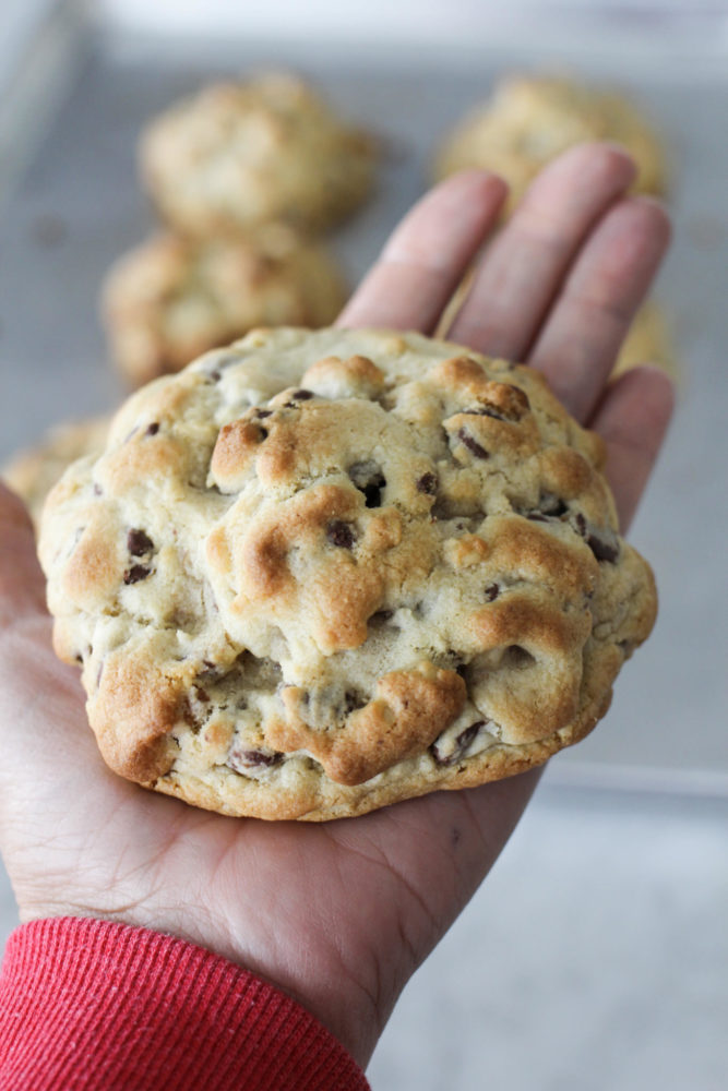 Levain Bakery CHocolate Chip Cookie in open hand