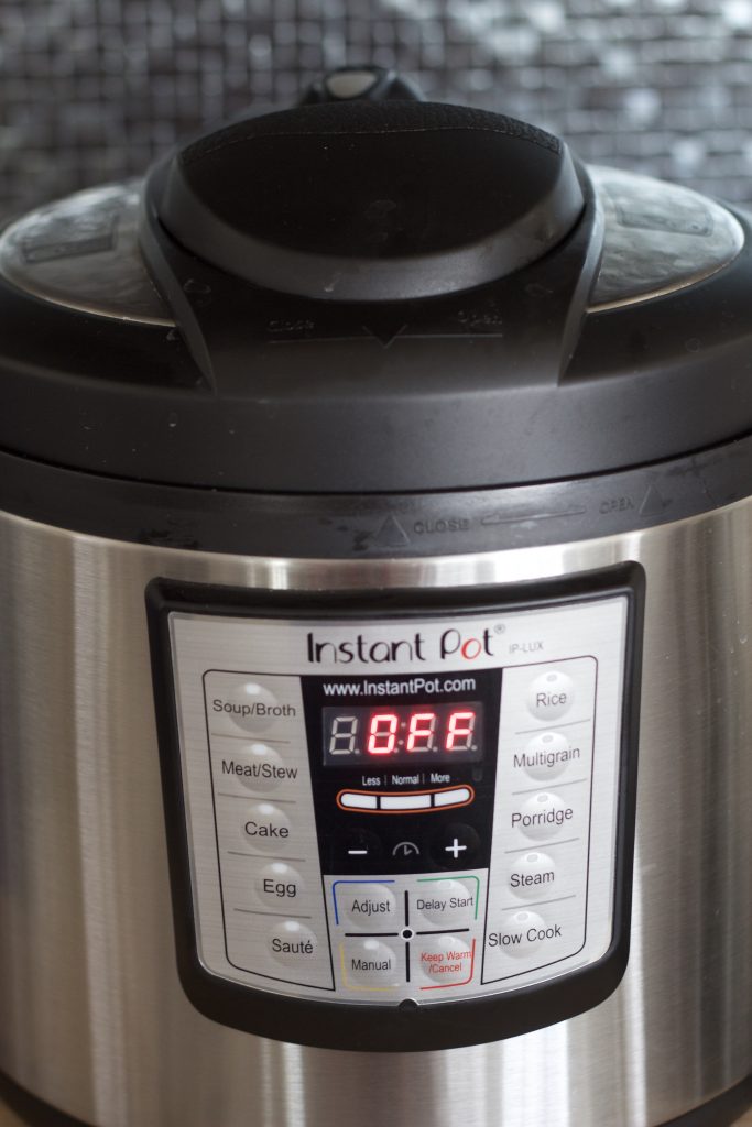 How to Use the Instant Pot or Instant Pot, Now What?