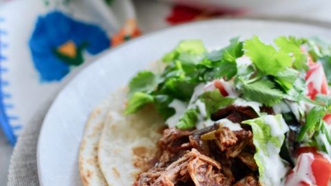 Instant Pot Cafe Rio Sweet Pork A Bountiful Kitchen
