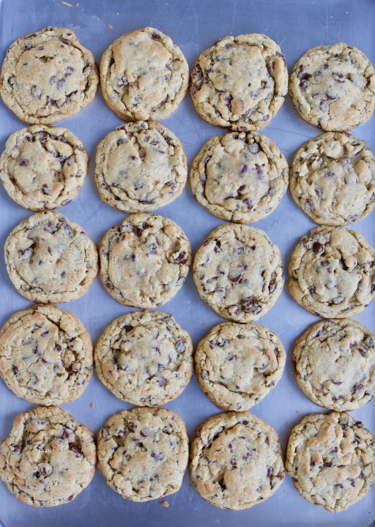 The Best Chocolate Chip Oatmeal Cookie