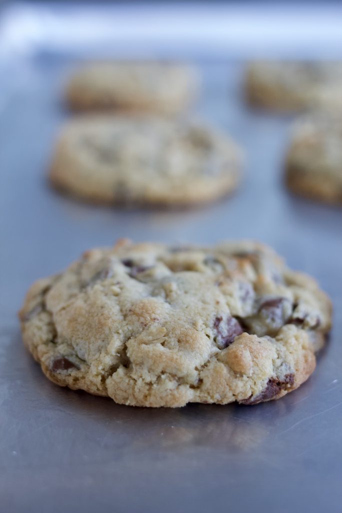 The Best Chocolate Chip Oatmeal Cookie