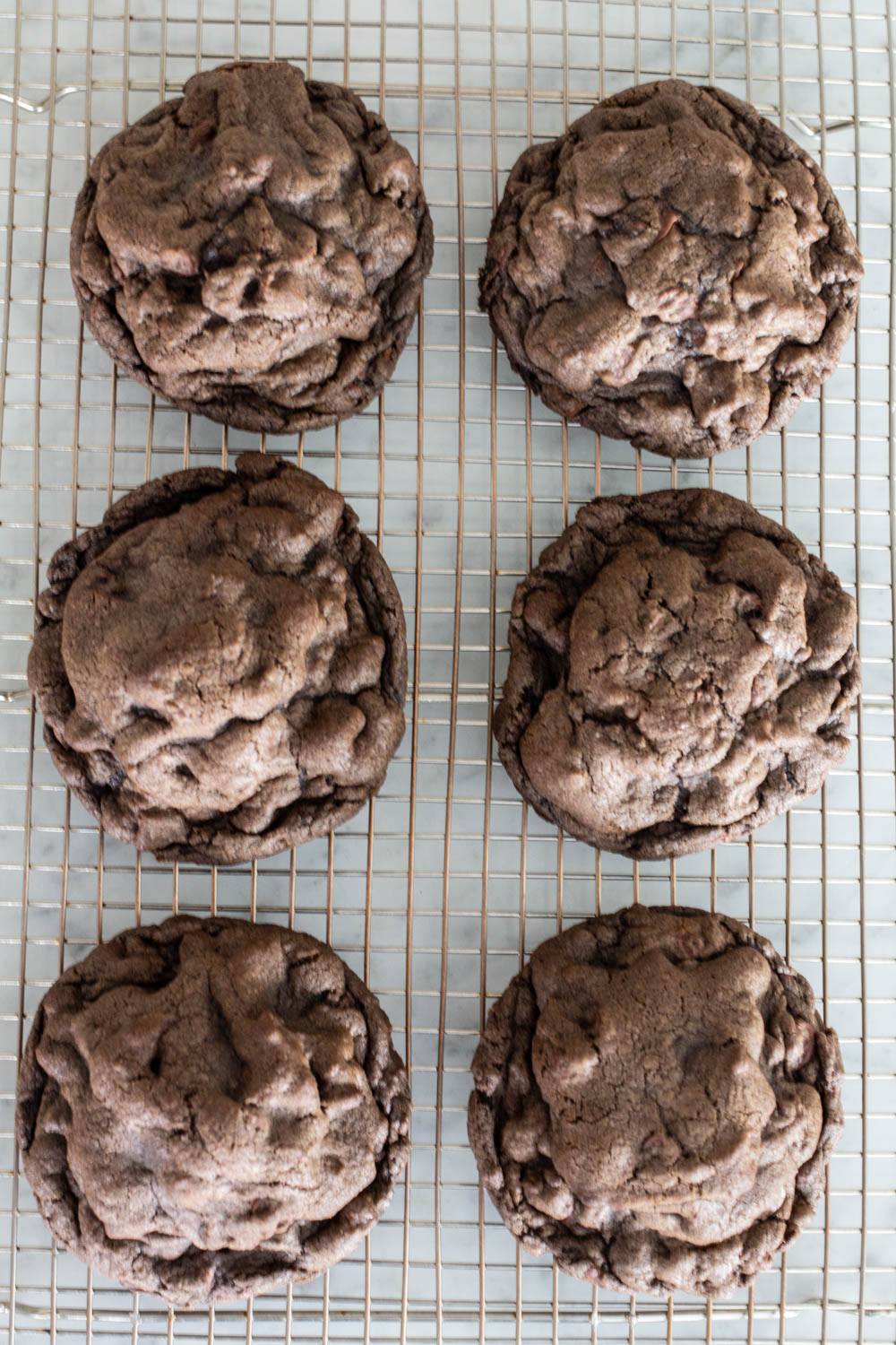 Levain Bakery Dark Chocolate Chocolate Chip Cookie