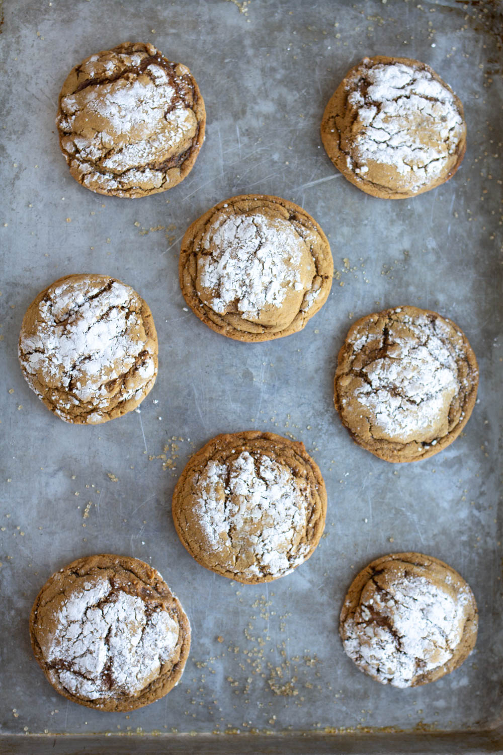 Soft gingersnap cookies with powdered sugar on cookie sheet