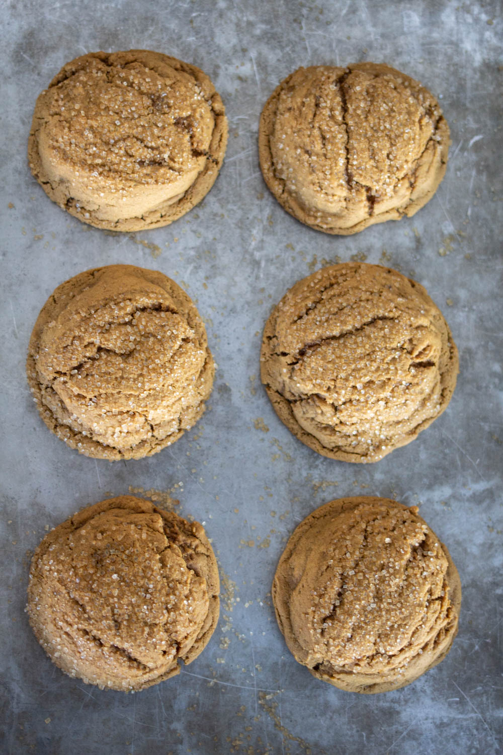 six soft gingersnap cookies on cookie sheet