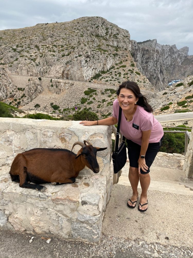 Formentor Lighthouse goats, Mallorca, Spain