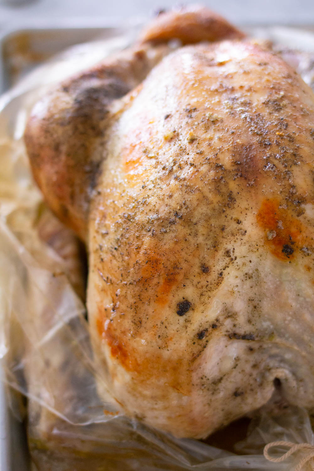 How to Roast a Turkey in a Bag A Bountiful Kitchen