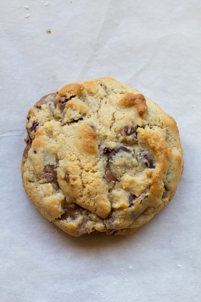 Chocolate Chip Pretzel Cookie