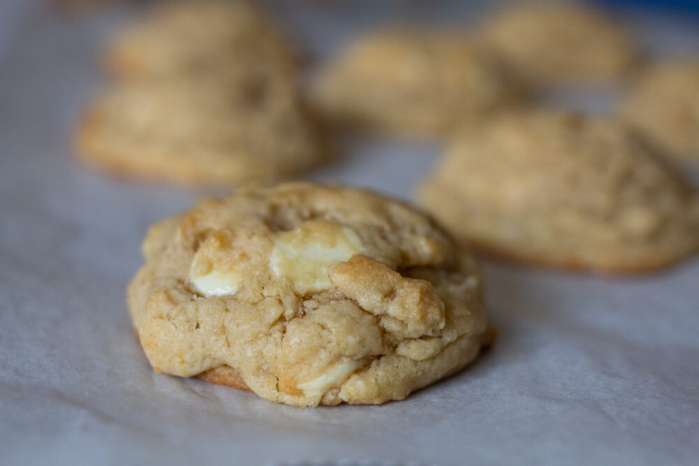 White Chocolate Chip Cookie