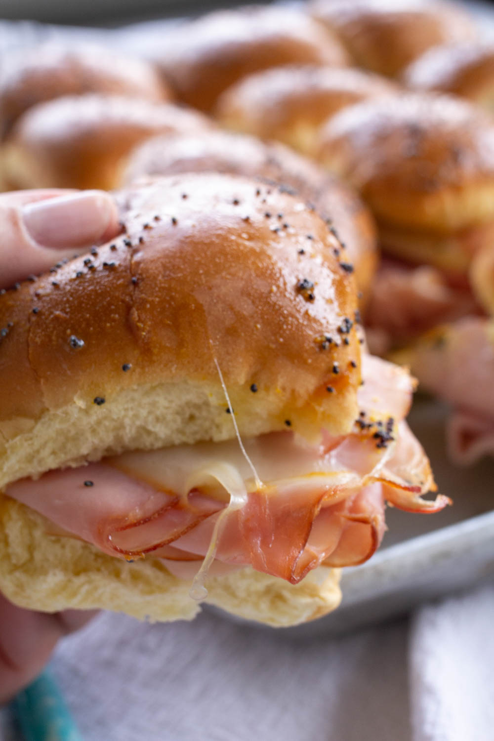 Easy Ham and Cheese Sliders with Poppyseed Topping A Bountiful Kitchen