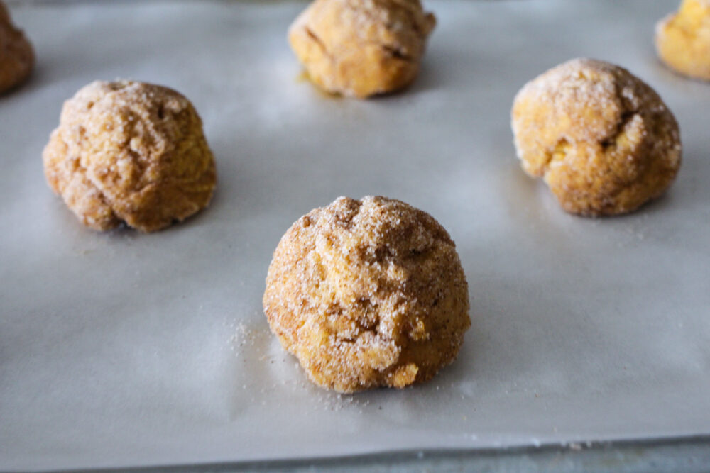 pumpkin snickerdoodle cookie dough