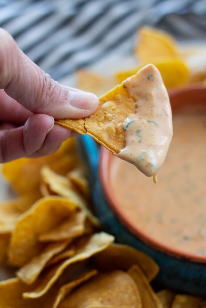 https://abountifulkitchen.com/wp-content/uploads/2022/02/Cafe-Rio-Copycat-Queso-6-667x1000.jpg