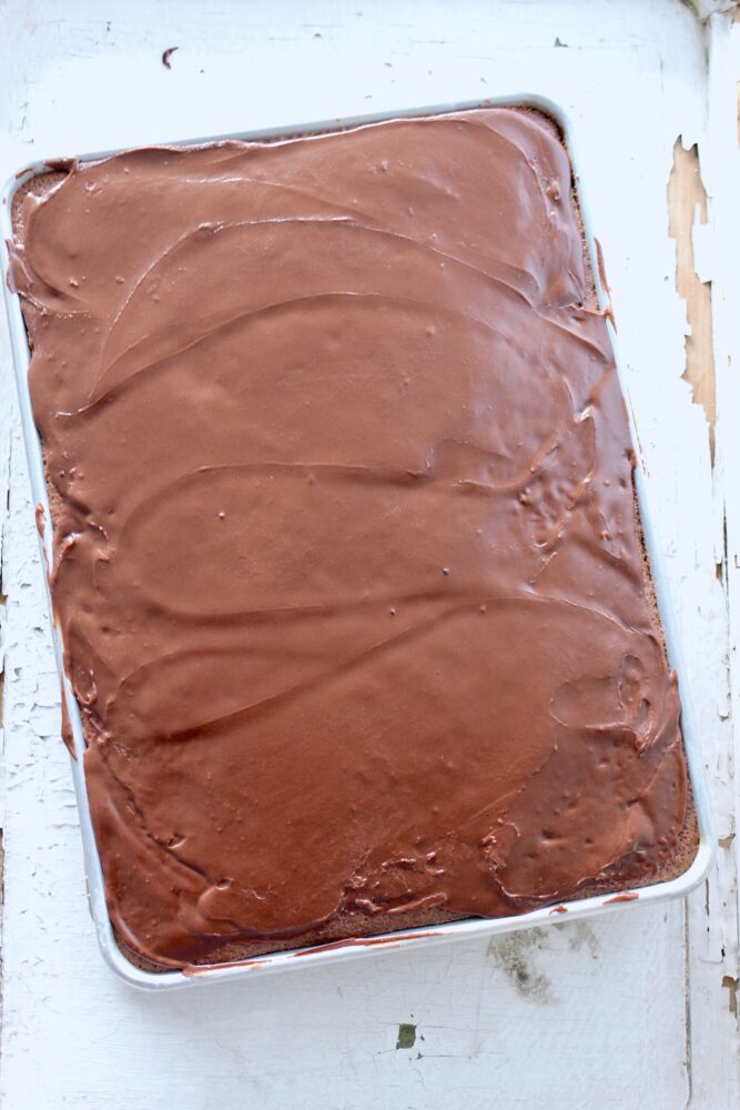 The Pioneer Woman's Chocolate Sheet Cake Recipe: The Best Texas Sheet Cake  Recipe Ever, Cakes/Cupcakes