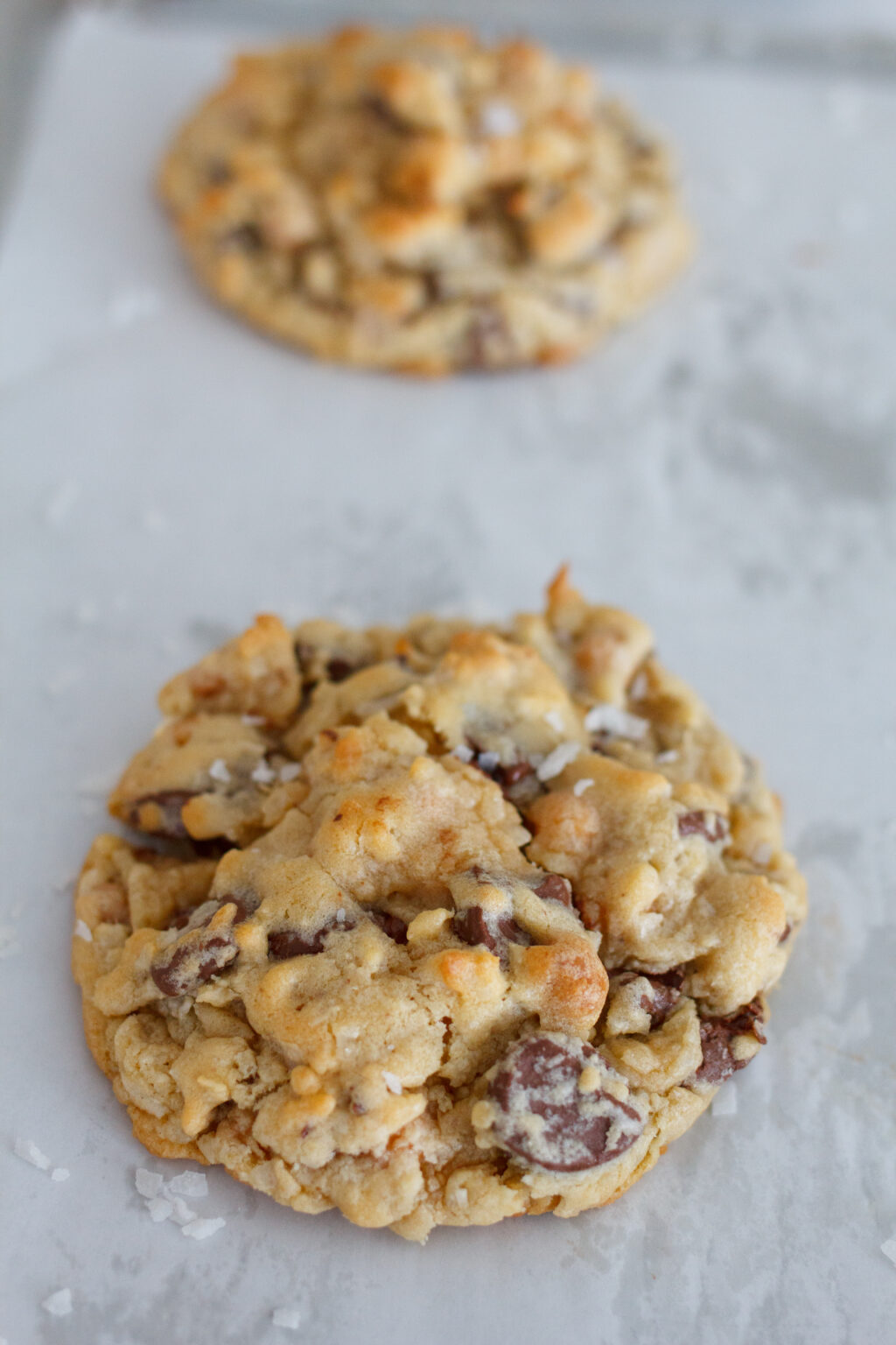 Levain Bakery Caramel Coconut Chocolate Chip Cookie | A Bountiful Kitchen