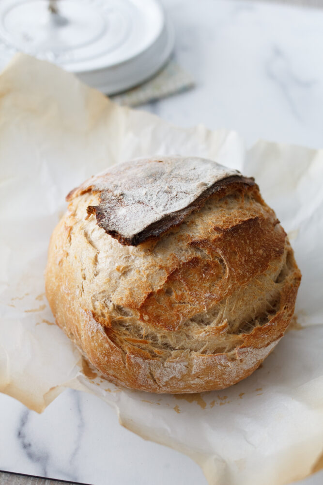 Cold Start Sourdough Bread with Overnight Dough