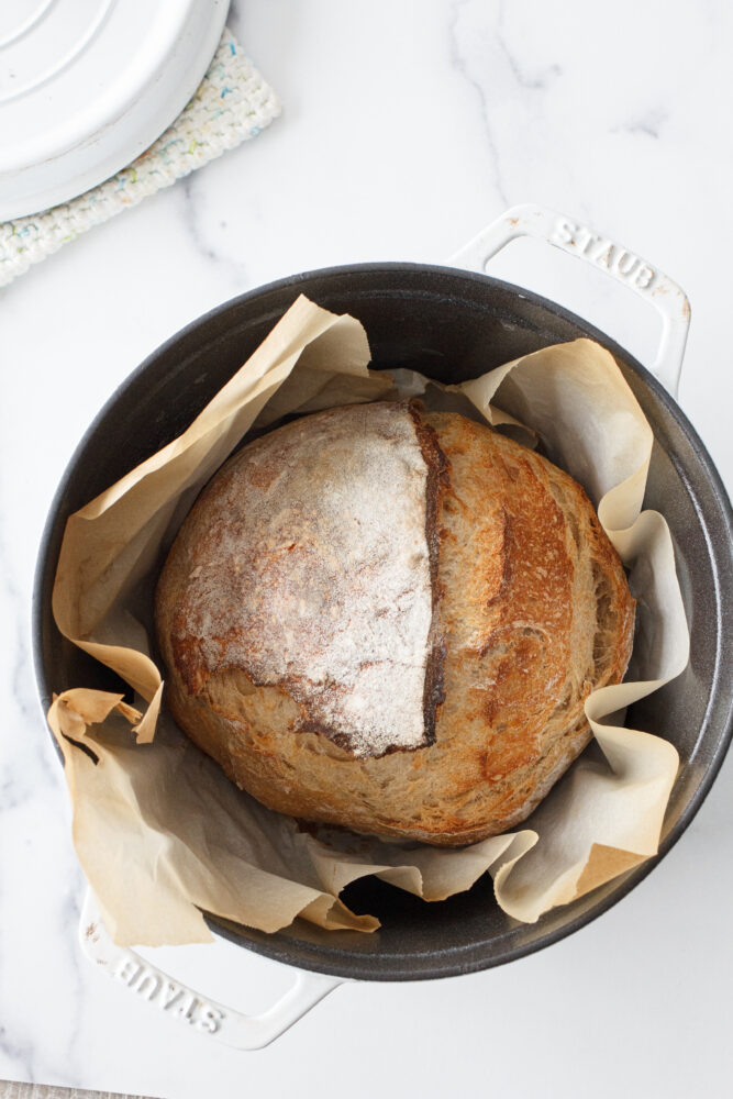 Quick No Knead Bread for Dutch Oven - 4 Ingredients! - The Busy Baker