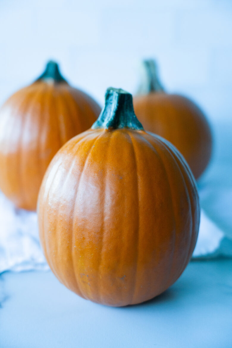 what pumpkins should I use to make pumpkin pie?